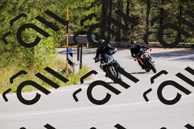 202509131314-_04A8224_c3