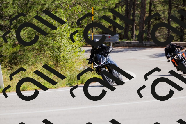 202509131314-_04A8225_c3