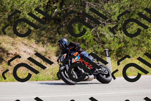 202509131314-_04A8228_c3