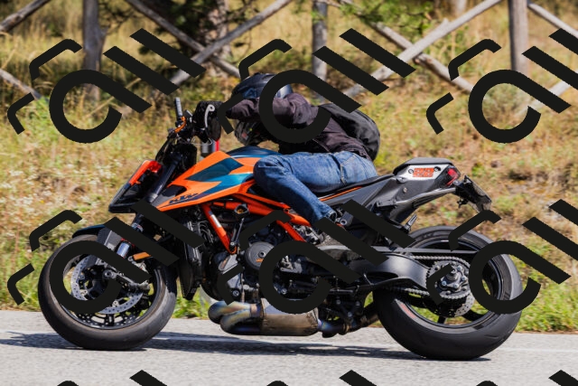 202509131314-_04A8230_c3