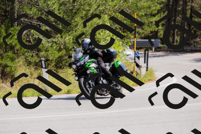 202509131314-_04A8231_c3