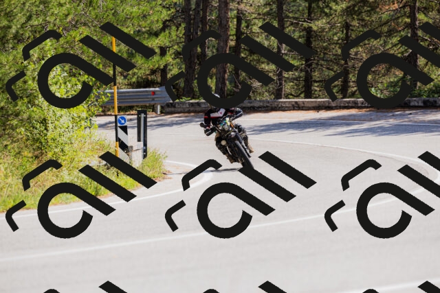 202509131315-_04A8235_c3