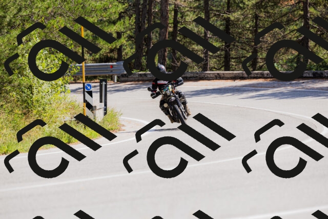 202509131315-_04A8236_c3