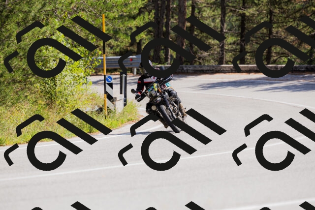 202509131315-_04A8237_c3