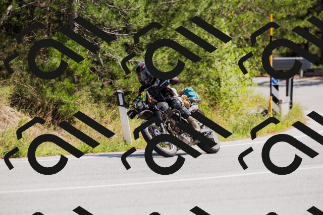 202509131315-_04A8238_c3