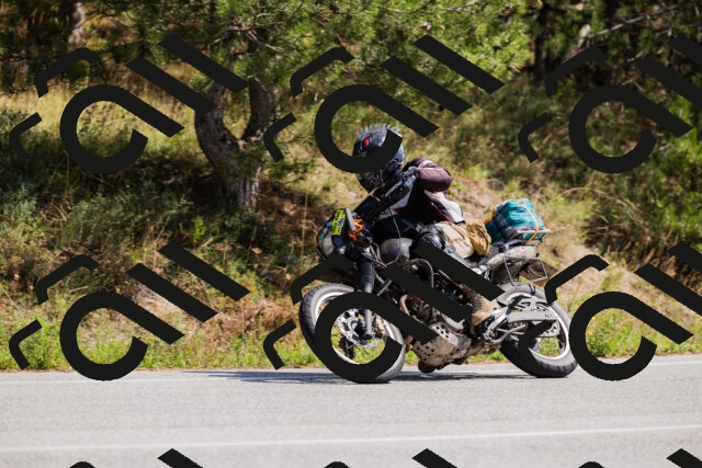 202509131315-_04A8239_c3