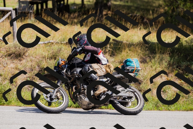 202509131315-_04A8240_c3