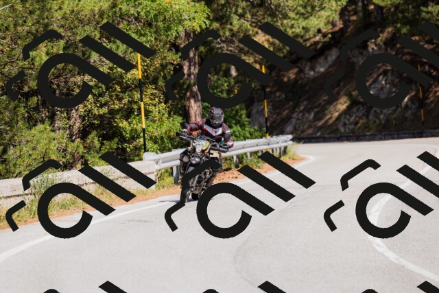 202509131315-_04A8241_c3