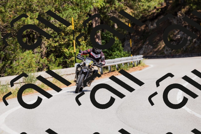 202509131315-_04A8242_c3