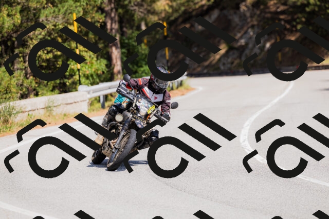 202509131315-_04A8244_c3