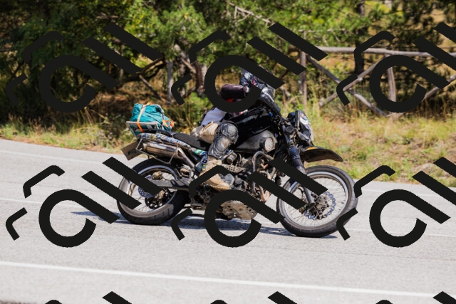 202509131315-_04A8247_c3