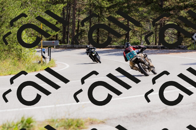 202509131315-_04A8251_c3