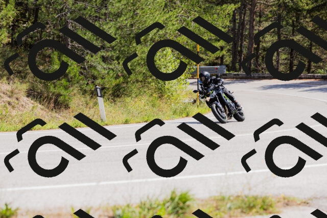 202509131315-_04A8252_c3