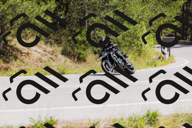 202509131315-_04A8253_c3