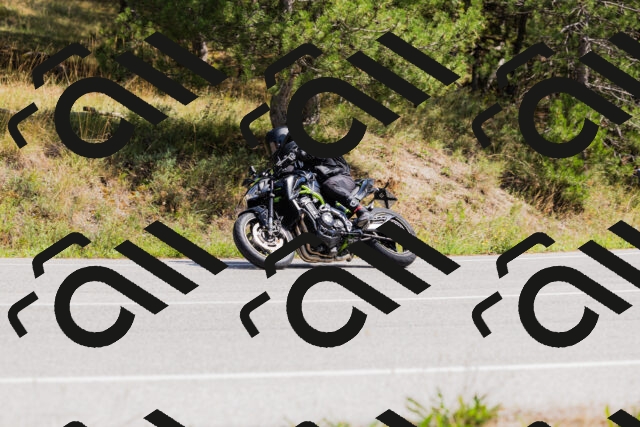 202509131315-_04A8254_c3