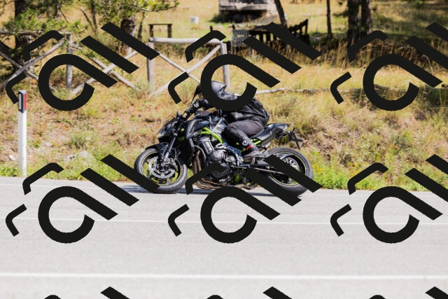 202509131315-_04A8255_c3