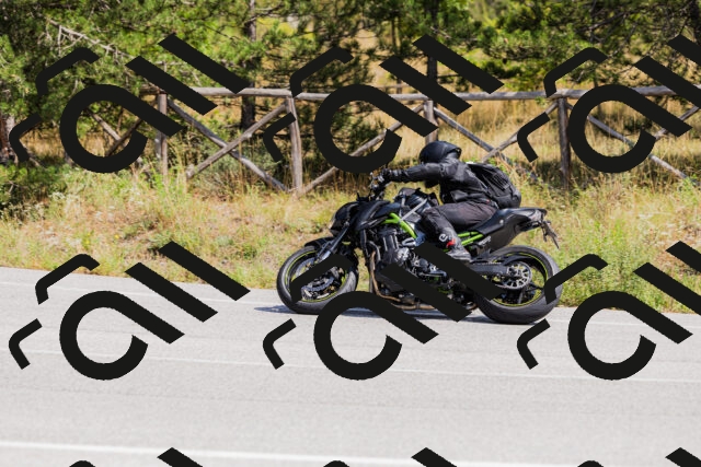 202509131315-_04A8256_c3