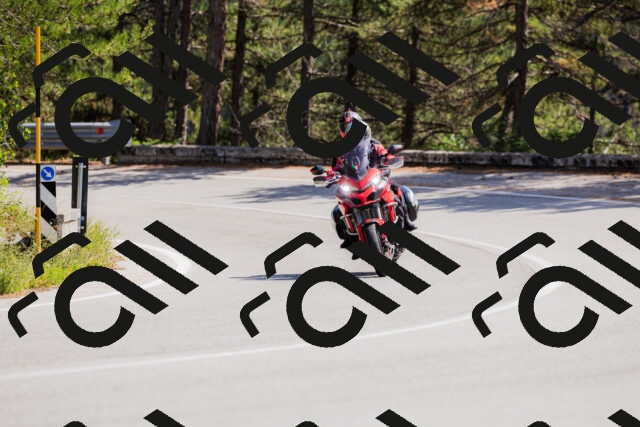 202509131315-_04A8257_c3