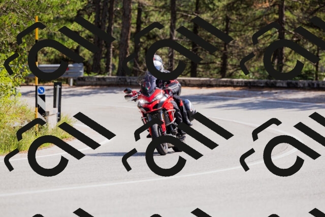 202509131315-_04A8258_c3