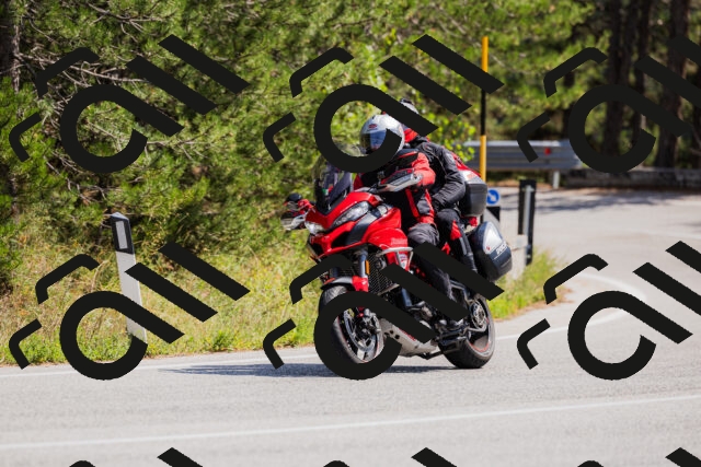 202509131316-_04A8260_c3