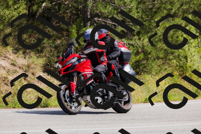 202509131316-_04A8261_c3