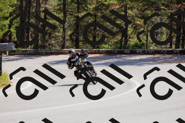 202509131316-_04A8263_c3