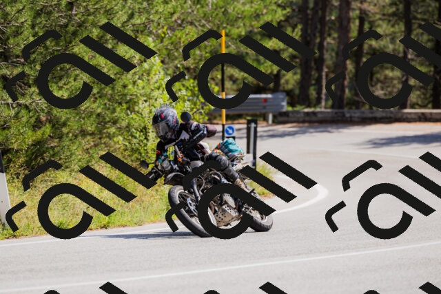 202509131316-_04A8265_c3