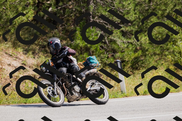 202509131316-_04A8266_c3