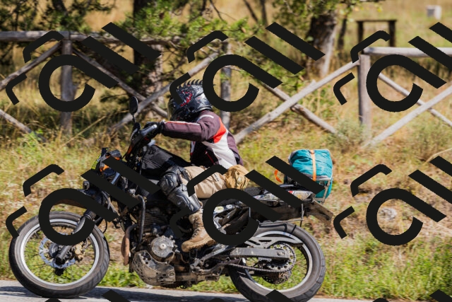 202509131316-_04A8268_c3