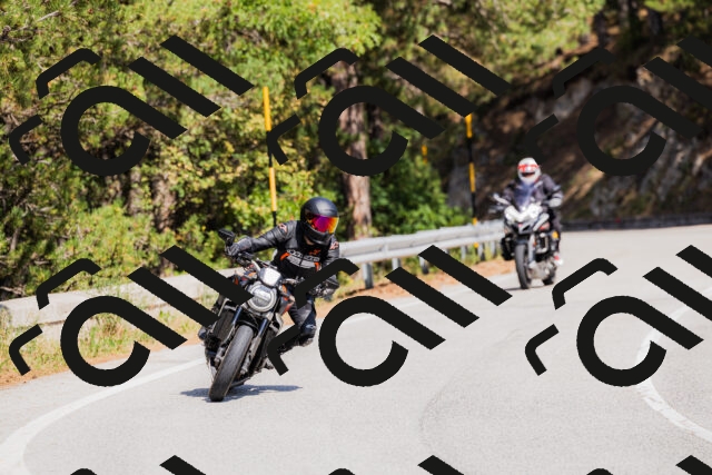 202509131316-_04A8269_c3