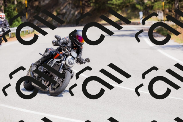 202509131316-_04A8271_c3