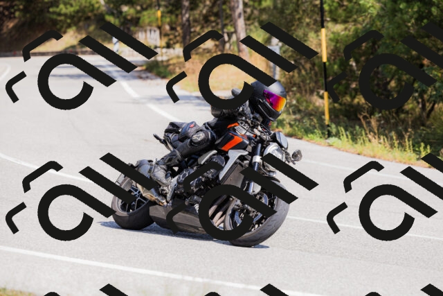 202509131316-_04A8272_c3