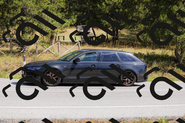 202509131317-_04A8278_c3