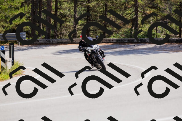 202509131322-_04A8280_c3