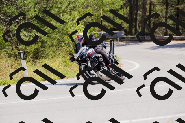 202509131322-_04A8283_c3