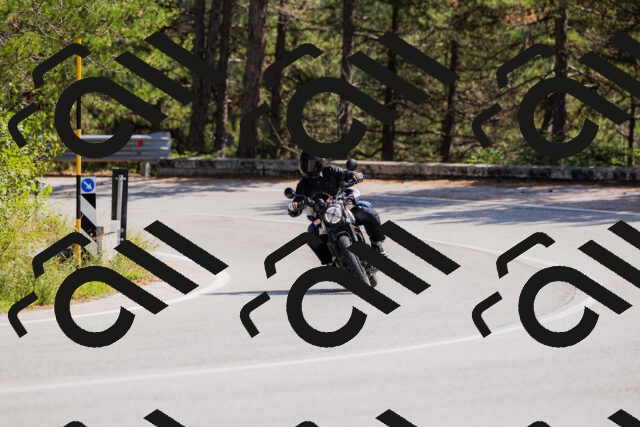 202509131322-_04A8286_c3