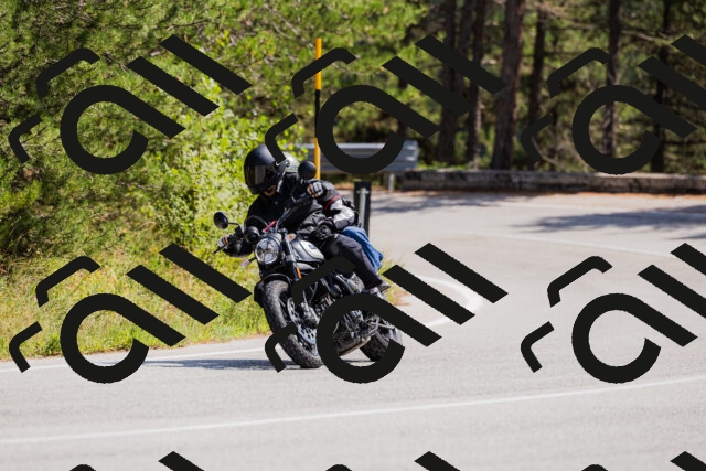 202509131322-_04A8288_c3