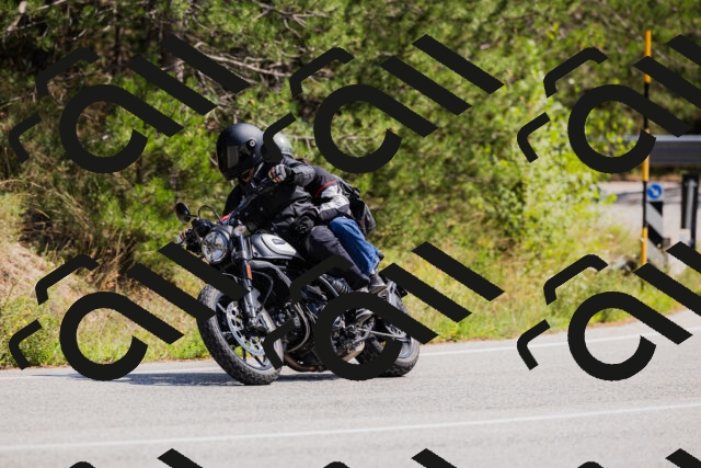 202509131322-_04A8289_c3