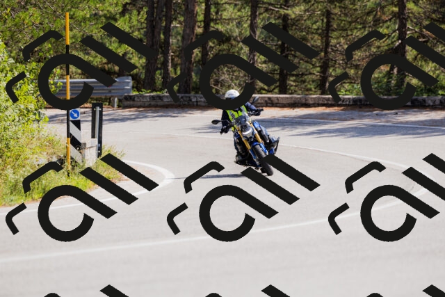 202509131322-_04A8291_c3