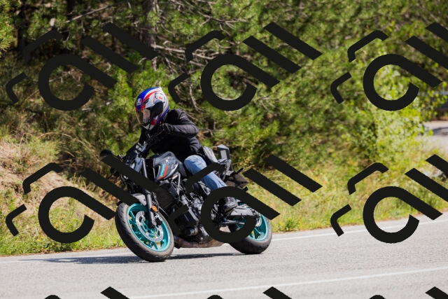 202509131323-_04A8298_c3