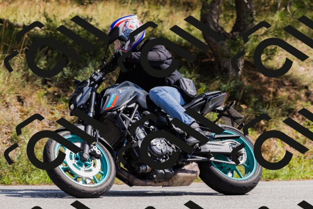 202509131323-_04A8299_c3