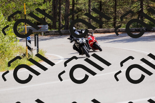 202509131323-_04A8300_c3