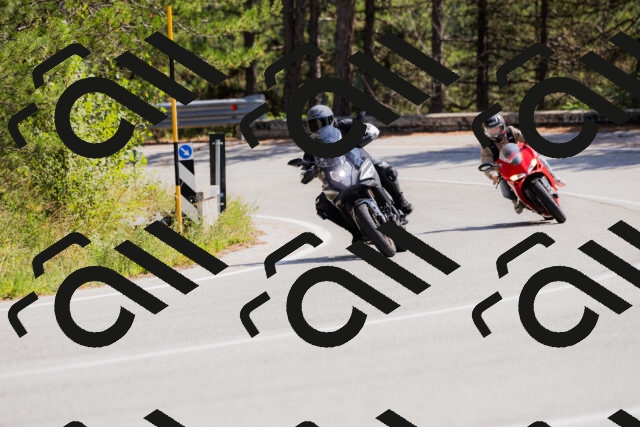 202509131323-_04A8301_c3