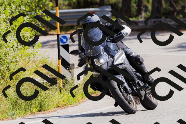 202509131323-_04A8302_c3