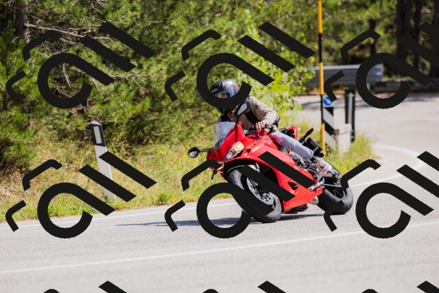 202509131323-_04A8303_c3