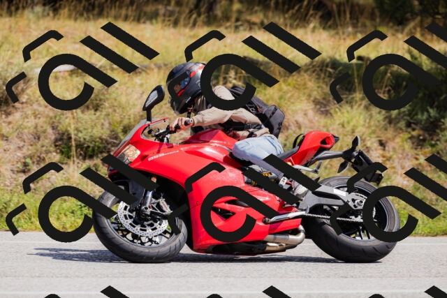 202509131323-_04A8305_c3