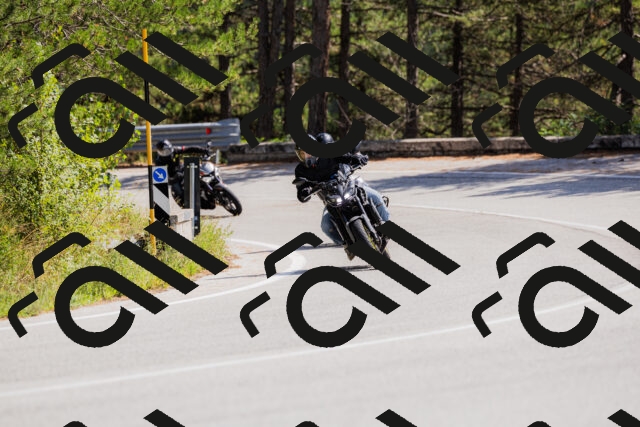 202509131323-_04A8306_c3