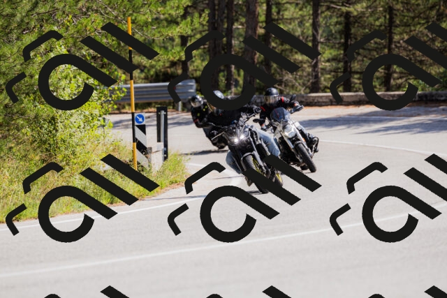 202509131323-_04A8307_c3