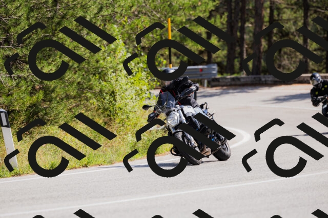 202509131323-_04A8308_c3