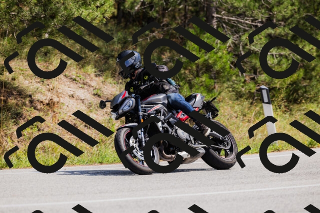 202509131323-_04A8309_c3